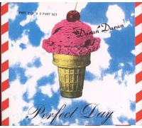 Duran Duran - Perfect Day (UK Import)