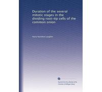 Duration of the several mitotic stages in the dividing root-tip cells of the common onion