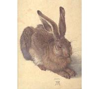 Durero, obras maestras de la Albertina