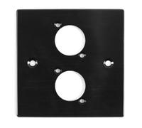 Durlo Placa de pared de aluminio cepillado de 86 x 86 mm, serie D, orificio para 2 orificios, compatible con Neutrik, HDMI, USB, RJ45, BNC, RCA, XLR