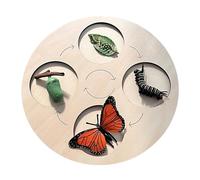 Duroecsain Ciclo De Mariposa,Mesa Puzzle Crecimiento Animal | Juego Educativo Interactivo para Explorar la Metamorfosis de Gallina y Mariposa para Niños Pequeños