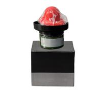 Duroecsain Guía de pintura de carrocería de coche | Guía en polvo seco para carrocería de coche - Materiales para lijado de metal mate no pegajoso para acabado restauración reparación de talleres y