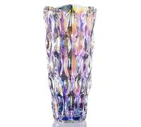 Duscdesp Florero de cristal, 24 cm, jarrón de cristal moderno, grande, nórdico alto, florero grande, tulipanes, floreros de cristal, decoración de boda, decoración de mesa, fiesta de inauguración de
