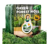 DUSPRO Musgo verde para manualidades, plantas artificiales en maceta, musgo decorativo para centros de mesa, boda, Navidad, decoración de fiesta de hadas, musgo sintético para macetas de interior