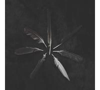 Caspian – Dust and Disquiet – Vinilo 12" coloreado – Importación USA