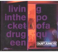 Dust Junkys - Living in the Pocket..