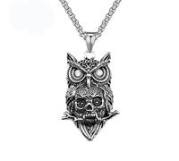 DUTACK Collar retro de calavera para mujer y hombre, acero inoxidable, joyas de animales góticos, amuleto de motorista hip hop oscuro, cadena de 60 cm, caja de regalo de Halloween