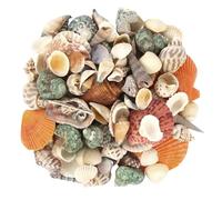 DUTIFUL 500g Caracolas de Mar Pequeñas 2-8 cm Conchas Marinas Mixtas de Playa Conchas Marinas Naturales Manualidades Conchas Naturales para Fiesta Temática de la Playa Decoración de Bodas
