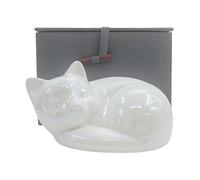 Duuclume Urna de gato personalizada para cenizas, recuerdo de mascotas de cerámica grabada a medida con nombre, texto y fecha, elegante recuerdo de cremación, regalo de duelo por la pérdida de un gato