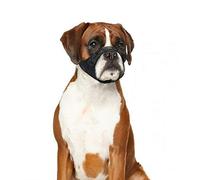 DUVO BOZAL Nylon (T-Boxer (Cuello 51-71 CM Morro 32 CM))