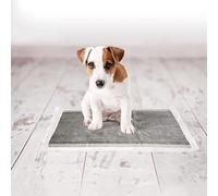 Duvo+ Empapadores de Orina para Perros - Talla M - 30 Unidades de 30 x 45 cm - Elaborados con Carbon Technology - Contiene 5 Capas Resistentes Anti-Roturas y Anti-Fugas - Ideal para Adiestramiento