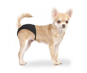 Duvo Plus Bragas para perras - Tamaño: XS