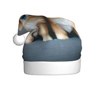 DUWAA Pomeranians Puppies And Point 1 - Sombrero de Papá Noel de felpa suave para adultos, sombrero de fiesta de Navidad con pompón, para Navidad, Año Nuevo, fiesta festiva