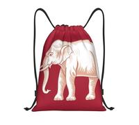 DUYKIMQW Mochila unisex con estampado de bandera de Sudáfrica, bolsillo ligero con cordón, fibra de poliéster cifrada, Bandera de la soberanía siamesa, M