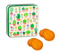 DV France | Lata Metálica de Galletas de Pura Mantequilla Fior di Sale - 130 Gr | Galletas Galettes De Mantequilla Salada Lata Flores Cactus En Relieve