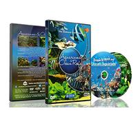 DVD de acuario - 2 juegos de DVD Acuarios y arrecifes de mar con coloridos corales y peces