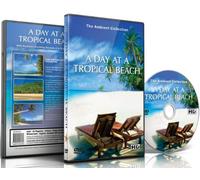 DVD de playa relajante: un día en la playa tropical para relajarse con sonidos de mar