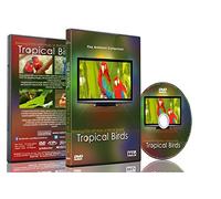 DVD Détente - Oiseaux des tropiques avec musique ou sons de la nature.