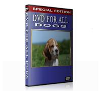 DVD for all Dogs (When you are not at home)