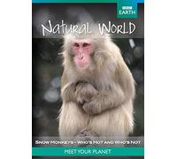 Dvd - Natural World Coll; Snow Monkey