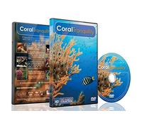 DVD subacuático - Tranquilidad Coral 2016 escenas calmantes de peces tropicales y música relajante