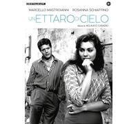 DVD UNA HECTÁREA DE CIELO Marcello Mastroianni Rosanna Schiaffino nuevo sellado