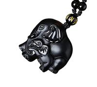 dvegGEE Collar de amuleto Feng Shui, colgante de amuleto de la suerte de elefante tallado a mano de obsidiana negra natural
