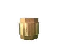 DWBPGVUN DN65 G - Válvula de retención de resorte de latón con rosca hembra BSPP de 2-1/2 pulgadas, altura 88 mm