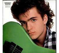 Dweezil Zappa - Havin' a Bad Day By Dweezil Zappa