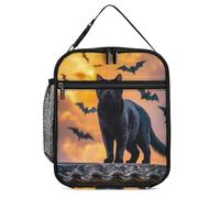 DWTJKMS The Black Cat Is Pacing on the Roof - Bolsa de almuerzo aislada a prueba de fugas para hombres y mujeres, con asa, reutilizable, aislada, para oficina, trabajo, picnic