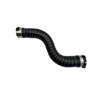 DYDGUTUFB Manguito intercooler para B&MW G30 G31 520D 520DX Intercooler Tubo De Admisión Tubo Turbo Manguera De Aire De Carga 11618572858