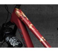 DYEDBRO Set de lámina protectora de cuadros MTB naranja one_size