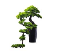 DYHWAC Simulación de Bienvenida, decoración Pino, Villa, Sala Estar, Porche, Belleza, acantilado, ciprés, rocalla, bonsái