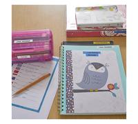 Dymo LetraTag LT-100H Rotuladora (plateada)