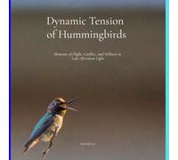 Dynamic Tension of Hummingbirds: Moments of Flight, Conflict, and Stillness in Late Afternoon Light (Dynamic Hummingbirds)