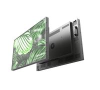 DynaScan DS431LT4 43" Display