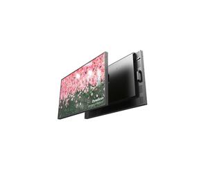 DynaScan DS491LT5-2 Pantalla de 49 pulgadas sin ventilador y de alto brillo (sin Wi-Fi)