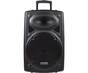 DYNASONIC - Dynapro 15’ (Segunda Generacion) Altavoz portátil Sistema Audio Profesional Potencia 800W - USB Bluetooth, Micrófonos, Negro - Soporte para Dispositivos movil y Tablet