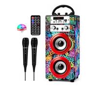 Máquina de Karaoke Portátil DYNASONIC, Altavoz Karaoke con 2 Micrófonos, Altavoz Bluetooth, Luz USB incluida, Lector USB y SD, diseño Exclusivo, Regalo Original (025-21 luz)