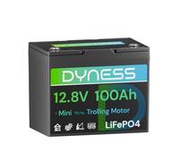 Dyness Batería de Litio 12V 100Ah, Batería LiFePO4 12V para Kayak con BMS 100A, Protección contra Bajas Temperaturas, para Sistemas Solares, Barcos, Caravanas, Camping