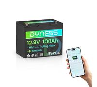 Dyness Batería de Litio 12V 100Ah Bluetooth, Batería LiFePO4 Mini 12V para Kayak con BMS 100A, Protección contra Bajas Temperaturas, para Sistemas Solares, Barcos, Caravanas, Camping