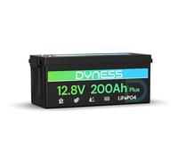 Dyness LiFePO4 Batería de Litio 12V 200Ah con BMS de 200A, 2560Wh para Ciclo Profundo en Marina/RV, Ideal para Solar, Overland/Furgonetas y Fuera de la Red