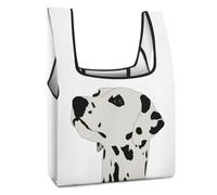 Dyscalibro Bolsa de compras plegable, bolsa de comestibles reutilizable con bandera de Brasil verde, bolsa lavable para uso diario, bolsas de viaje, Dálmata de dibujos animados, Talla única