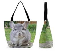 Dyscalibro Bolsa de mano con cremallera, 111 bonita bolsa de playa de perezoso, bolsa de hombro grande para uso diario, viajes, Chinchilla Camerons, 28.5 x 18 x 32.5 cm