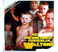 Dysfunctional Psychedelic Waltols - All Over My Face [Vinilo]