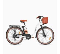 DYU C6 Pro 26 Zoll City E-Bike 250W Retro-Design