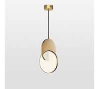 DZQWLL Lámpara Colgante de Acero Inoxidable Accesorios de lámpara Colgante LED Luz de Techo Moderna Material de PMMA con lámpara de araña de Pantalla de Vidrio Transparente para Sala de Estar de Loft