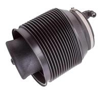 DZSCHUNLUSM Amortiguadores para Coche para Toyota para Land para Cruiser para Prado 120 Series 2003-2009 4808035011 Suspensión Neumática Bolsa Resorte Choque Suspensiones de Aire(Derecha)