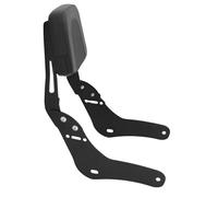 DZSCHUNLUSM Portaequipajes Motocicleta para Rebel CMX1100 CM1100 CM 1100 para CMX 1100 2021-2024 Portaequipajes para Motocicleta Respaldo Sissy Bar Portaequipajes Moto