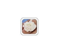 DZSYJKTM Anillo de oro vintage con perla blanca para mujer, ajustable, delicado y bonito pétalo floral, camelia, anillo abierto, para fiestas, vacaciones, regalo, Metal, Sin piedra preciosa